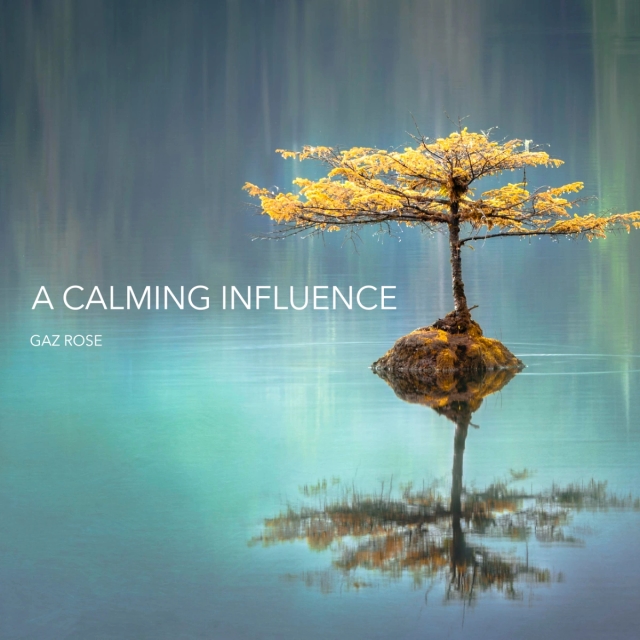 Cover art for A Calming Influence