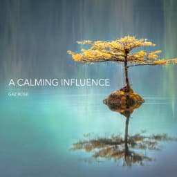 Cover art for A Calming Influence