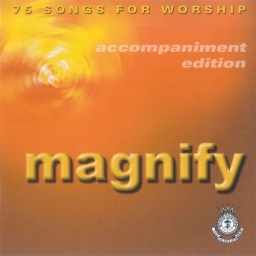 Cover art for Magnify