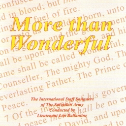 Cover art for More than Wonderful