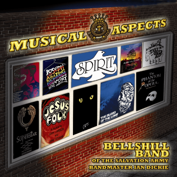 Cover art for Musical Aspects