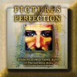 Cover art for Pictures of Perfection